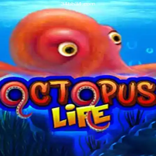 Exploring OctopusLife and the Revered 34bb Platform